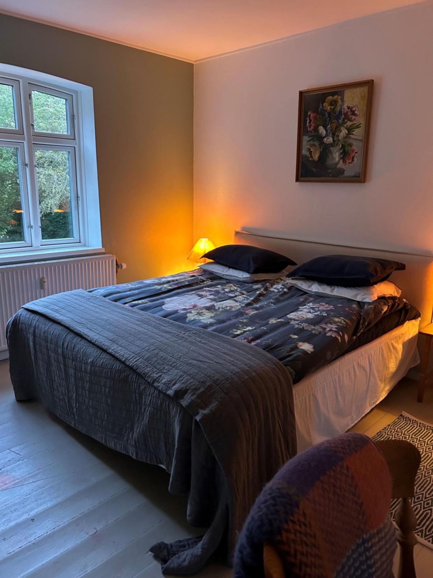 Hojriisgaard B & B Norreby  Dış mekan fotoğraf